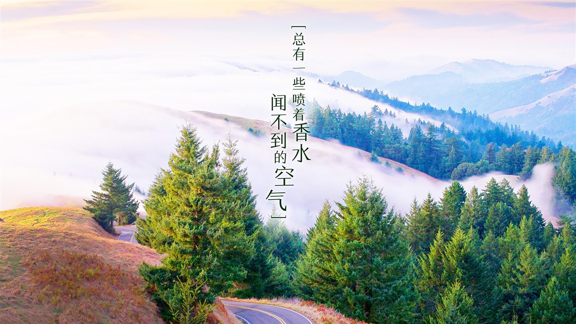 山西汾酒球队配合更加默契，山西汾酒股份球队球员名单