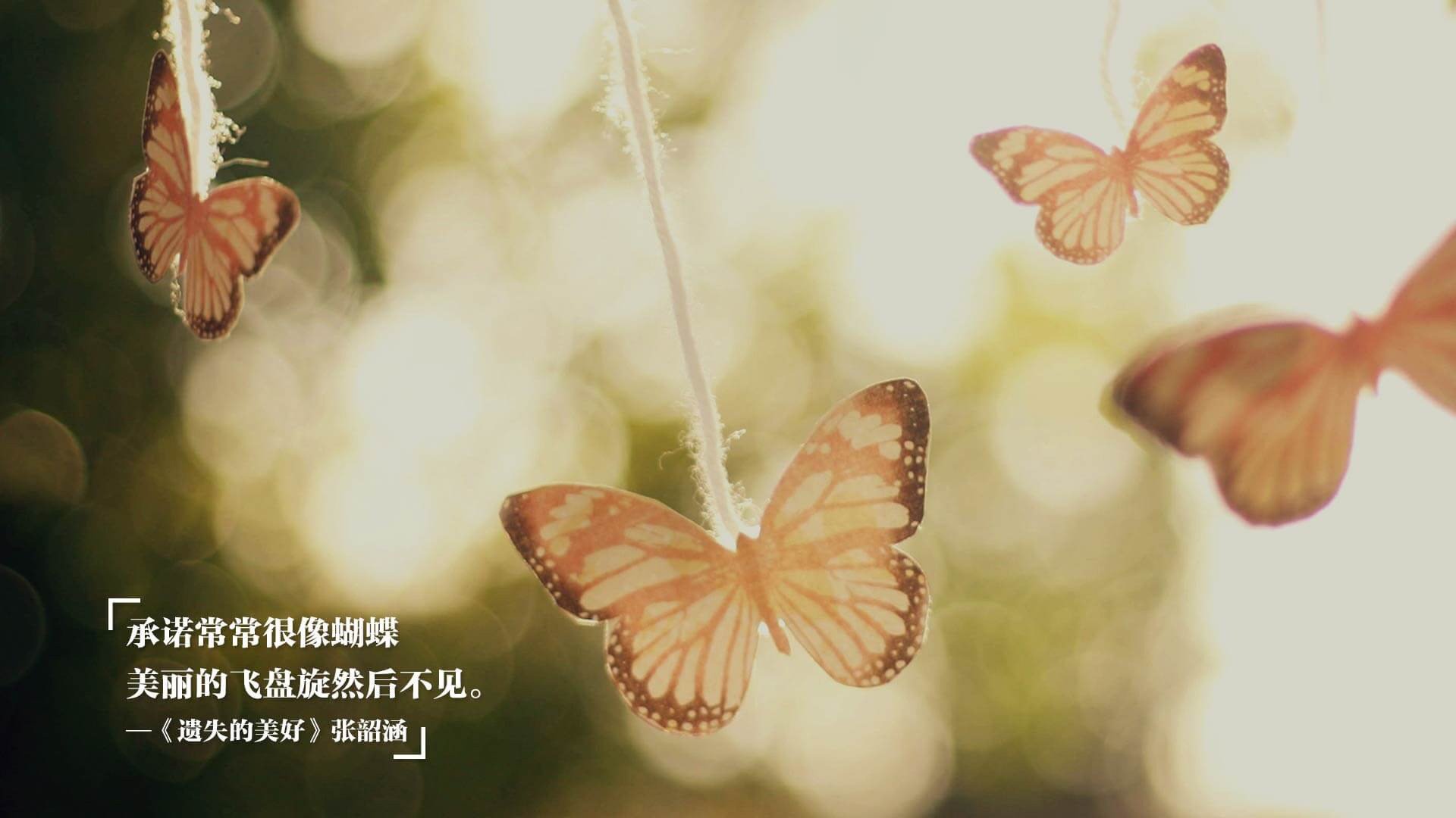 随机独立队战术调整见成效，独立战队2
