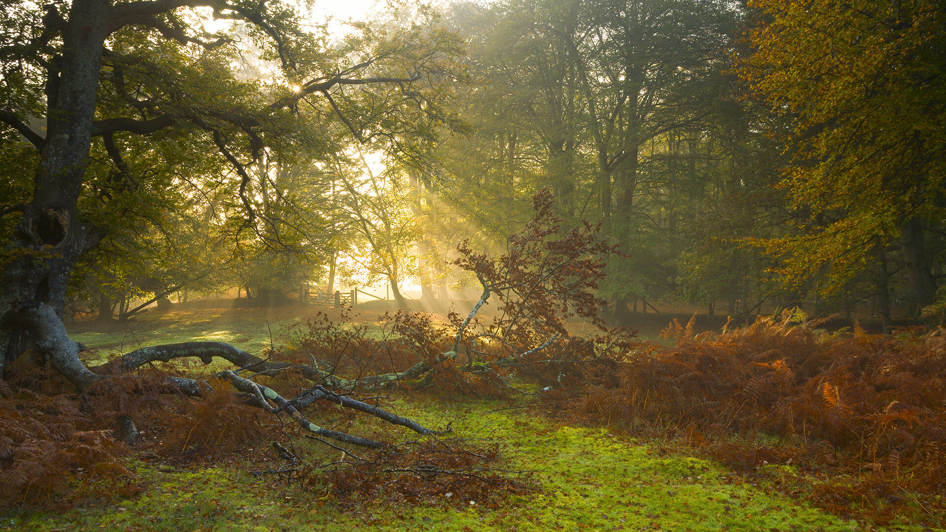 辽宁飞豹球员训练强度加大备战季后赛，辽宁飞豹现役球员