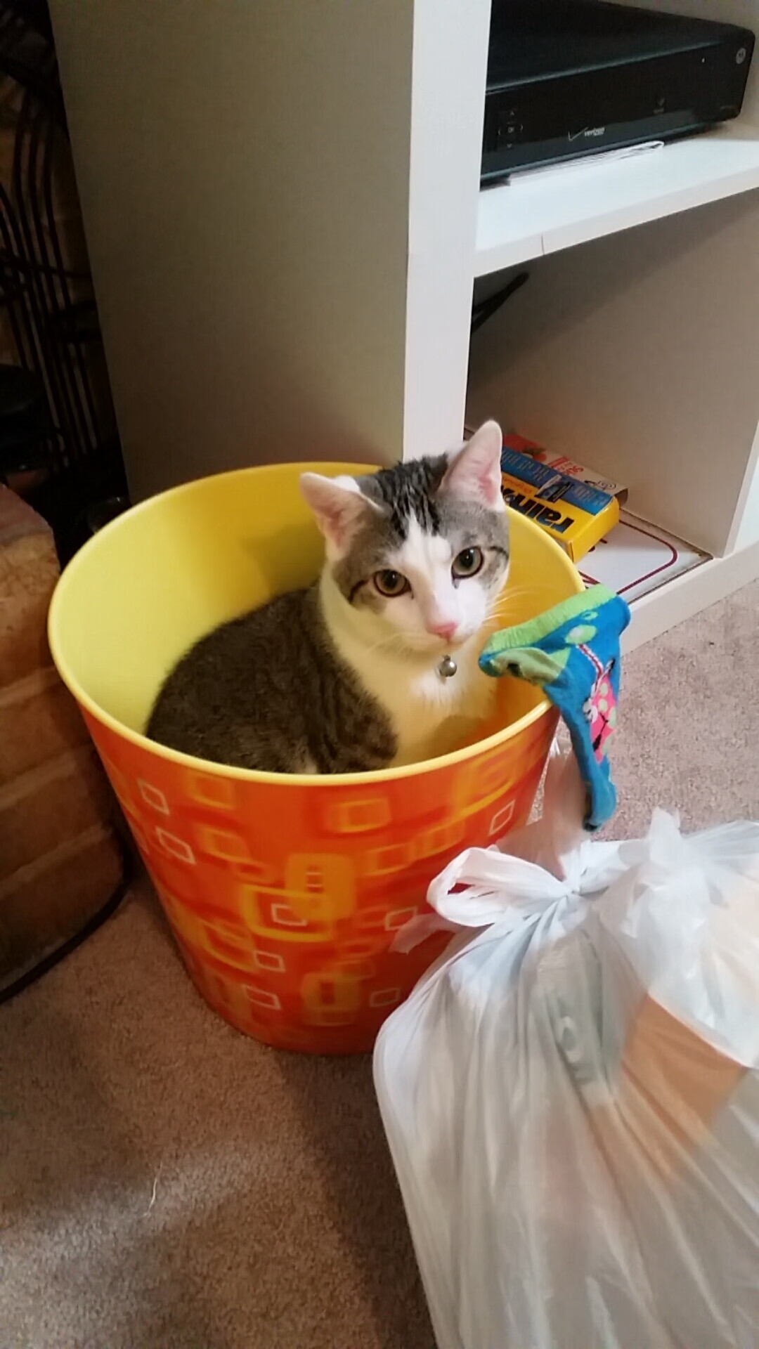 随机中国足球首次引进职业心理教练助力球员成长，中国足球职业理事会