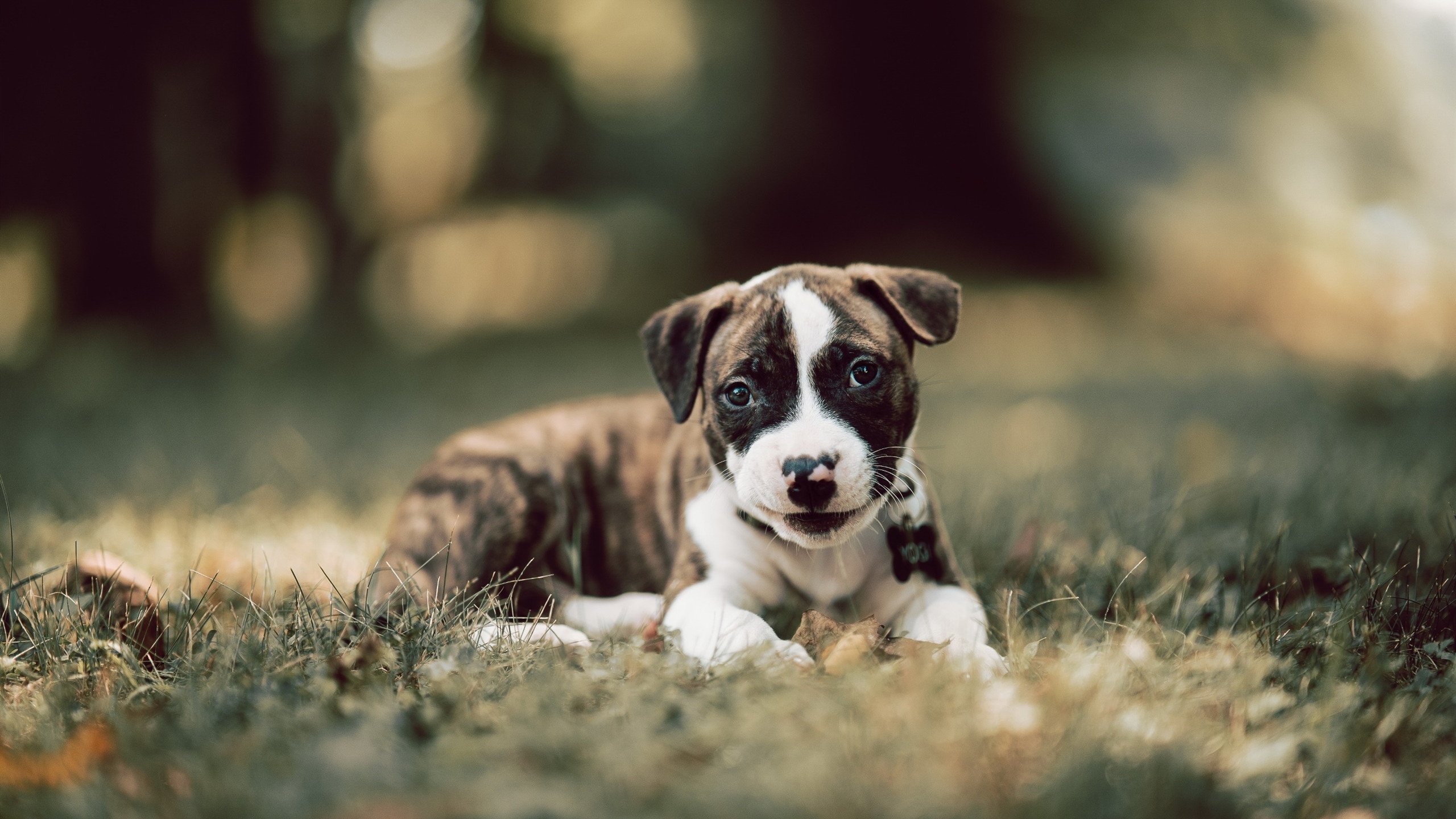 主教练首次带队打德比比赛前特别强调心理准备的重要性，球王德比