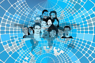 随机美国队赛制分析：赛制中的人员调整与战术变化，美国队训练赛