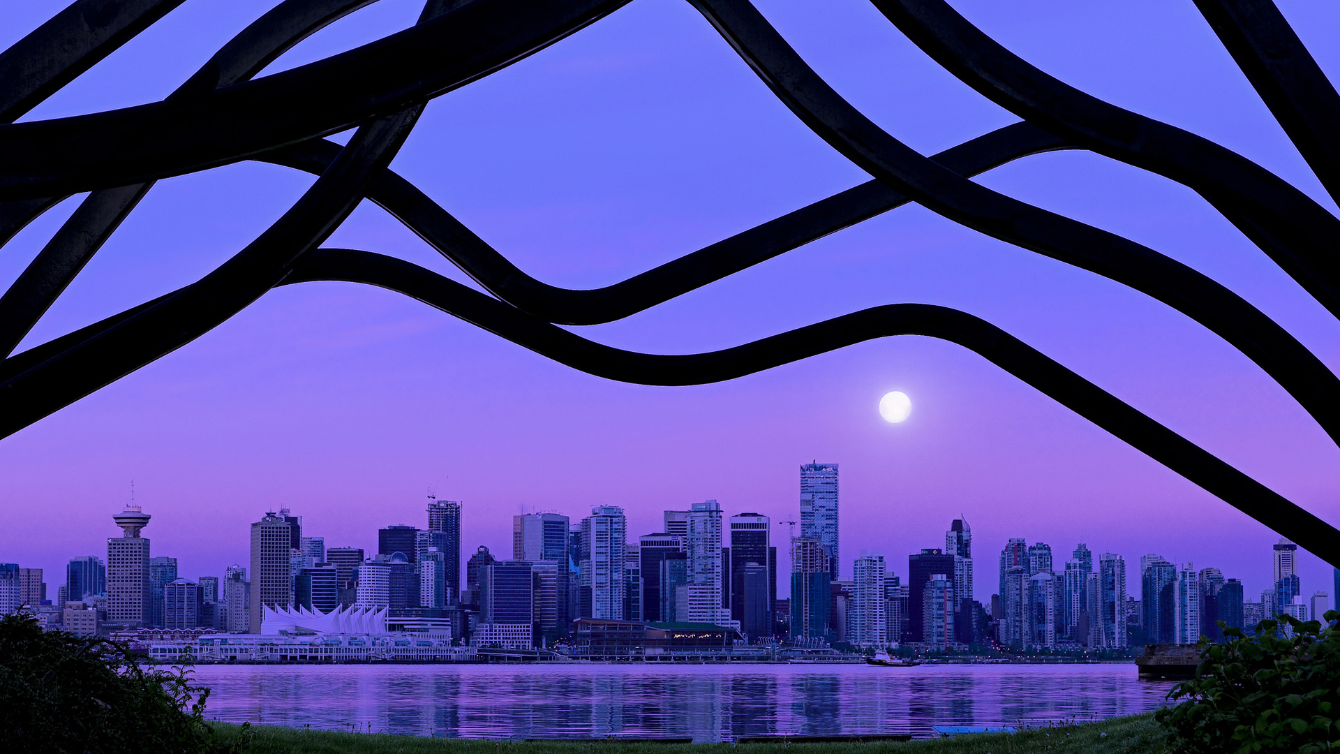 随机希腊女队自由泳中距离显优势，希腊游泳队5人确诊