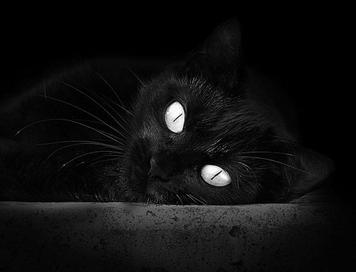 森林狼发布训练日照片展示球队积极状态，森林狼拓展训练基地