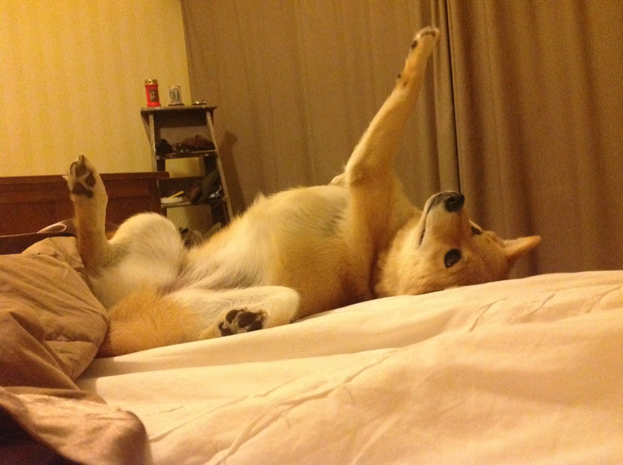 随机陈艺文：压力是进步的动力，压力是进步的源泉