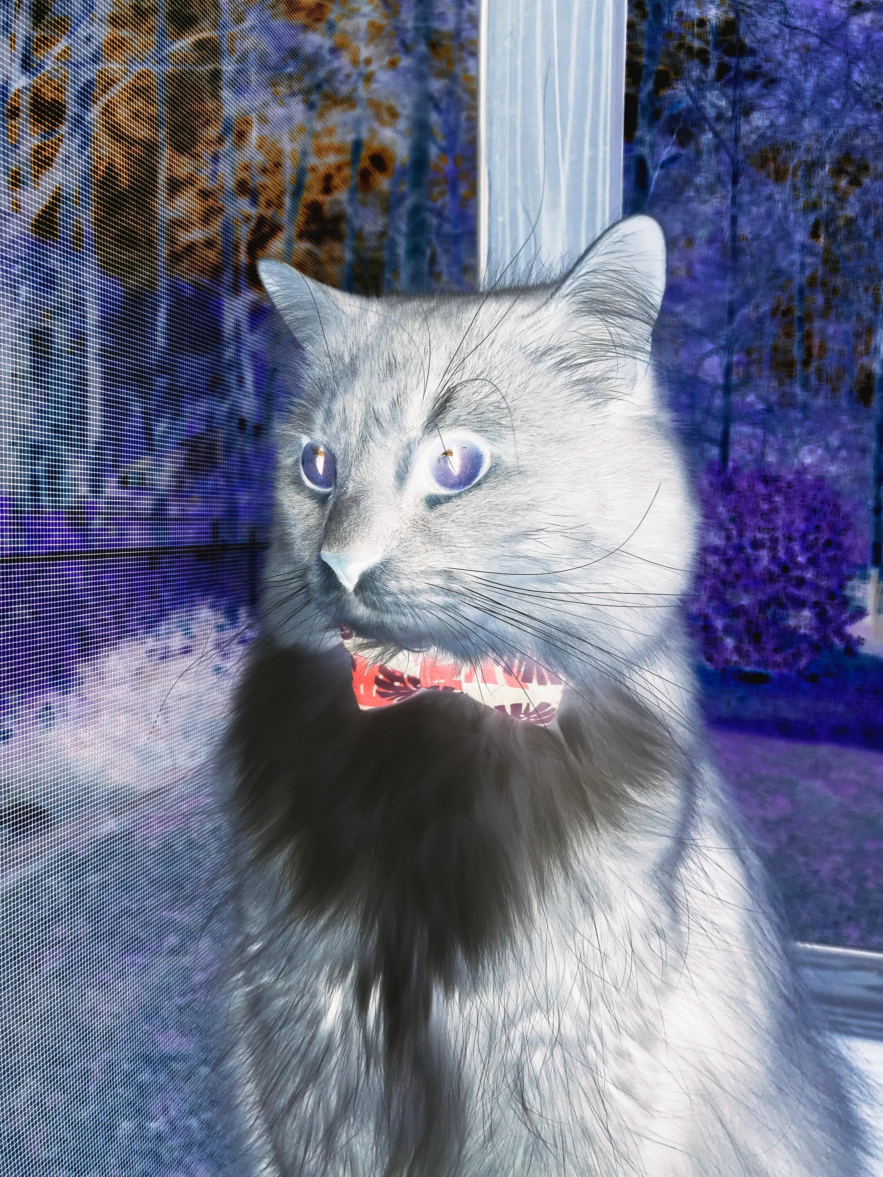 青训体校引入文化课管理模式关注学生全面发展，体校文化课老师该如何教学